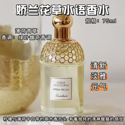 Design Perfume